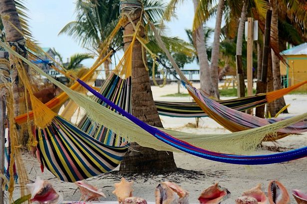 Travel hammocks are used at the beach