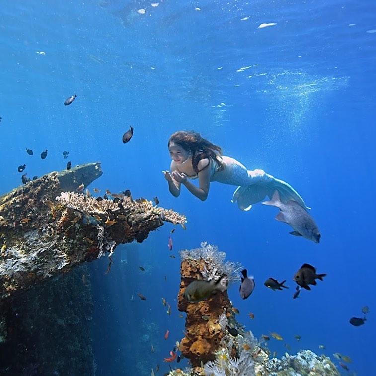 Find the Wonderful Bali in Scuba Diving