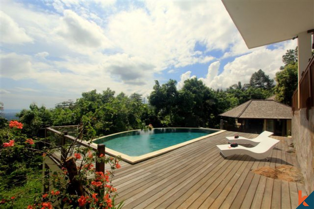 Villa Lovina Bali