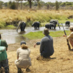 Wildlife Spotting Hikes